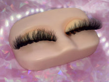 Lade das Bild in den Galerie-Viewer, Main Attraction
