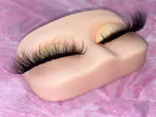 Charger l'image dans la galerie, Nikita
