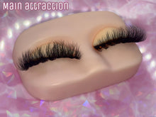 Lade das Bild in den Galerie-Viewer, Main Attraction
