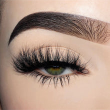 Load image into Gallery viewer, Playgirl
