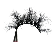 Load image into Gallery viewer, Wicked
