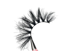 Load image into Gallery viewer, Zaddy
