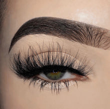 Load image into Gallery viewer, Diva
