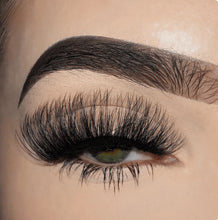 Load image into Gallery viewer, Ride Or Die
