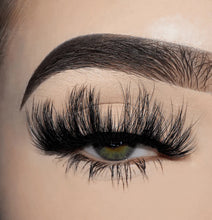 Muat gambar ke penampil Galeri, Attitude
