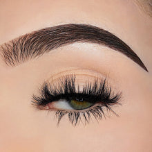 Load image into Gallery viewer, Dinero
