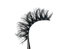 Load image into Gallery viewer, Cassie
