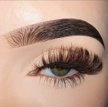 Load image into Gallery viewer, Sugar Baby
