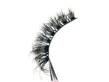 Lade das Bild in den Galerie-Viewer, Kitten
