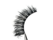 Lade das Bild in den Galerie-Viewer, Rose
